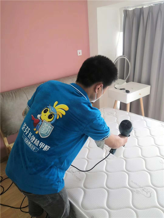 南昌除甲醛公司