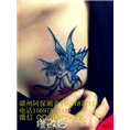 赣州哪里有纹身店|赣州纹身找谁