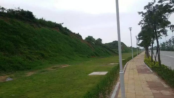 珠海公路护坡、佛山喷播草坪- 