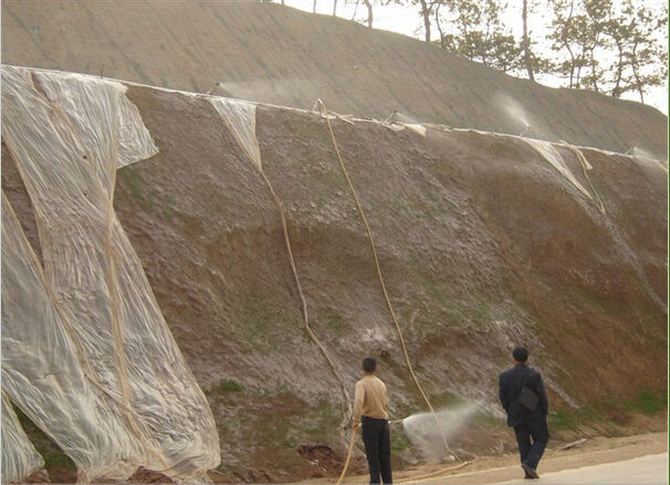 阳江边坡绿化#公路草坪护坡喷坡 
