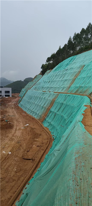 阳江边坡喷播草籽