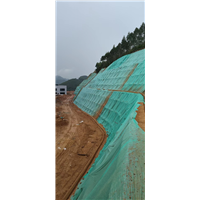 阳江边坡喷播草籽