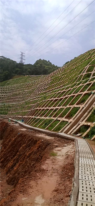 惠州草坪喷播