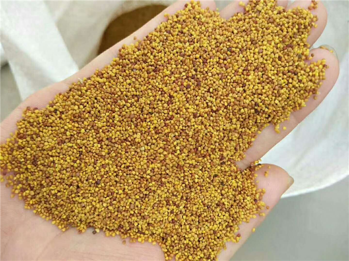 白三叶 清远草籽 广东白三叶草籽