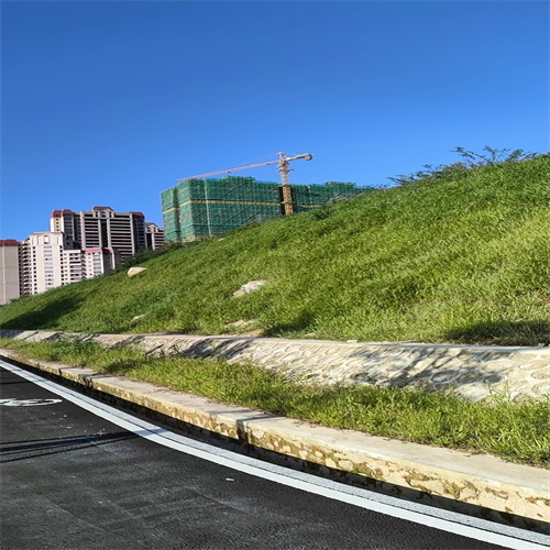 草坪种子价格