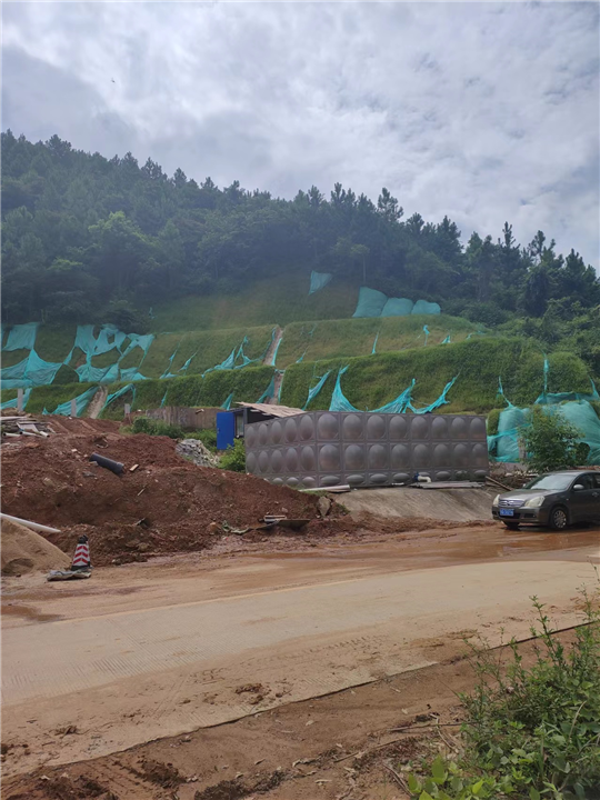阳江山体护坡复绿工程