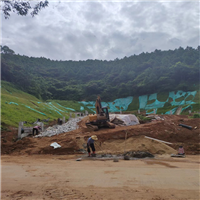 广东草籽价格