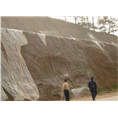 阳江边坡绿化#公路草坪护坡喷坡 