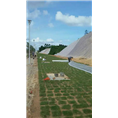 高速公路护坡草坪”广东高速公路护坡草坪/