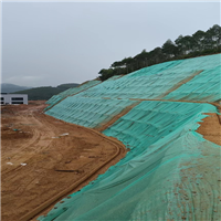 护坡草坪喷播