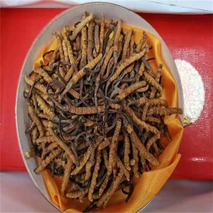 长春回收虫草注意点