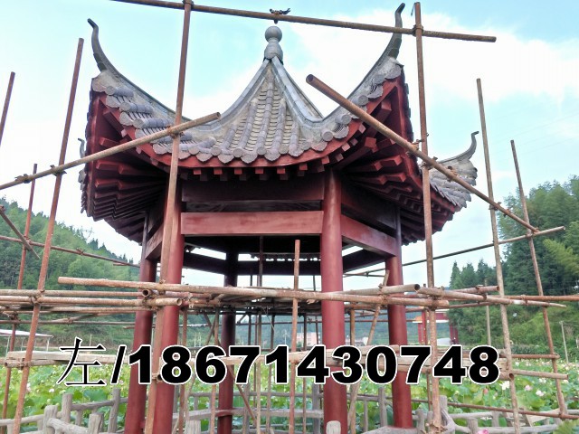 广东清远农村改造六角亭子案例