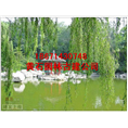黄石建造寺庙 