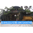 公园榕树大门 