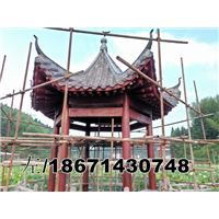 广东清远农村改造六角亭子案例