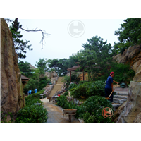 文登天沐温泉
