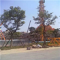 石嘴山喷泉水景制作—中卫假山塑石施工队 