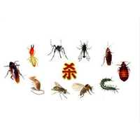 珠海专业杀虫灭鼠公司 