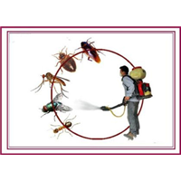 珠海杀鼠公司 