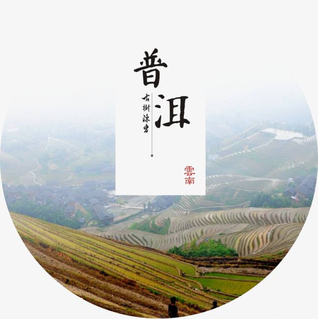 普洱茶的定义 