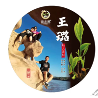 普洱茶之茶籽采收 
