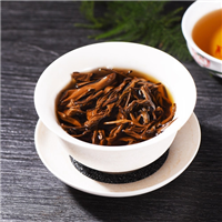 乔木生态茶 