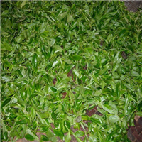 云南普洱茶、供应普洱茶 