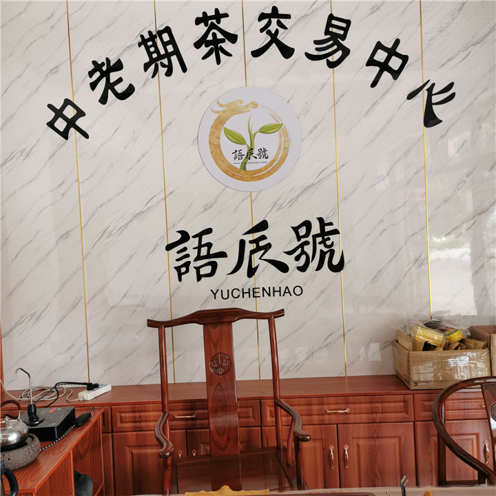 勐海名山名寨古树头春 