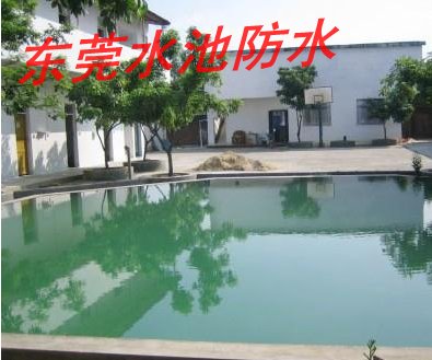 东莞防水补漏工程\樟木头水池防水补漏 