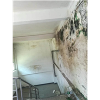 东莞市室内防水补漏