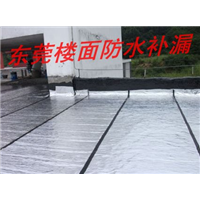 东莞防水补漏，谢岗裂缝清洗，东莞伸缩缝 