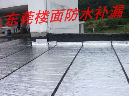 东莞防水补漏，谢岗裂缝清洗，东莞伸缩缝 