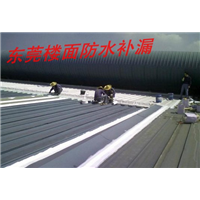 东莞楼面补漏2