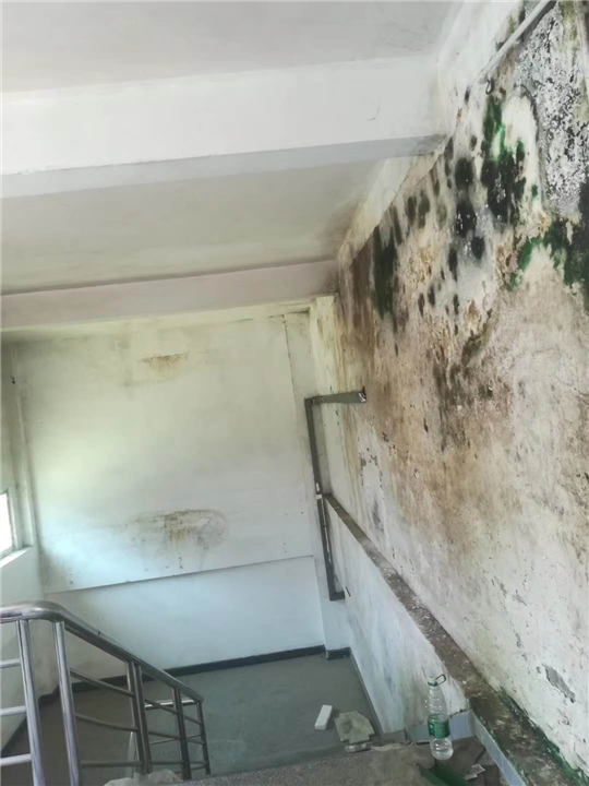 东莞市室内防水补漏