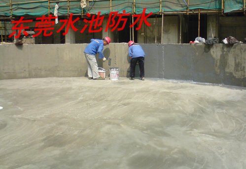 东莞防水\东莞防水补漏公司 