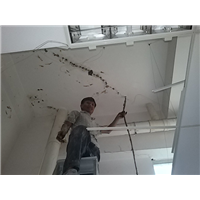 东莞防水补漏