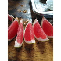 南安蜜柚苗基地 