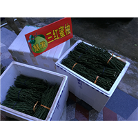 漳州平和蜜柚价格|基地 