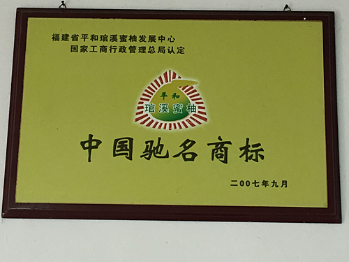 荣誉证书 