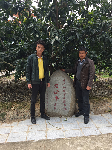 三红蜜柚苗图片31 