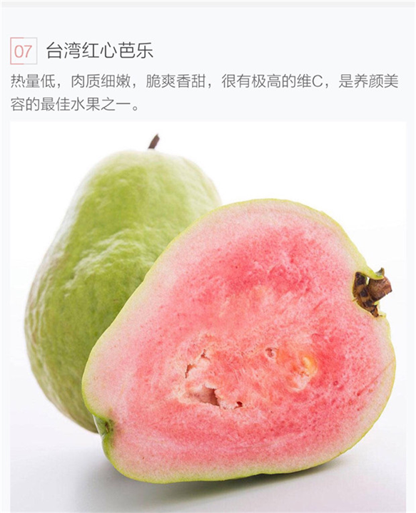 台湾红心芭乐苗,台湾红宝石芭乐苗,福建芭乐苗 