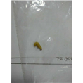 大连灭鼠&大连除虫灭蟑螂 
