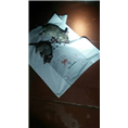 大连灭鼠公司8 