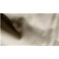 大连灭白蚁公司8 