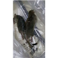 大连灭鼠 