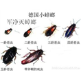 大连杀虫公司 