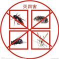 大连除蟑螂 