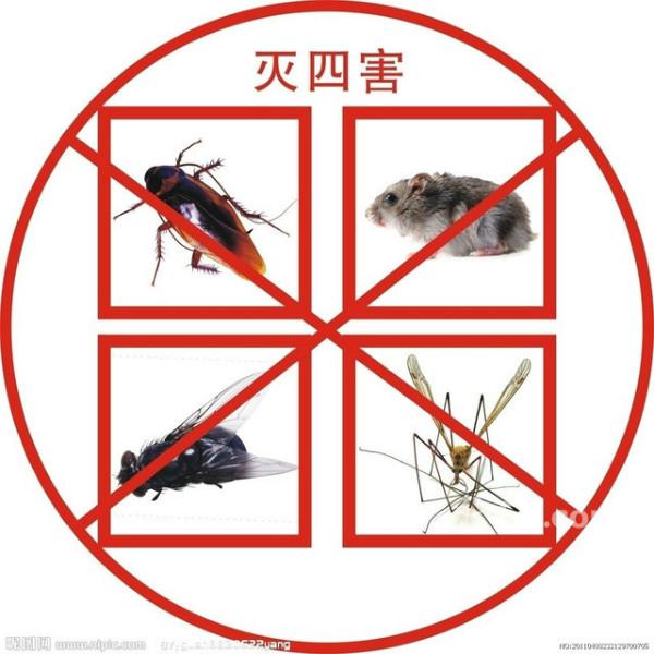 大连除蟑螂 