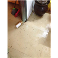 大连灭蚂蚁32 