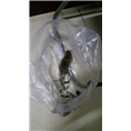 大连灭鼠 